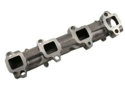 Manifold