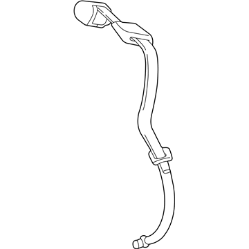 Belt And Buckle Assy