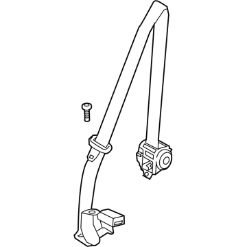 Center Belt Assembly