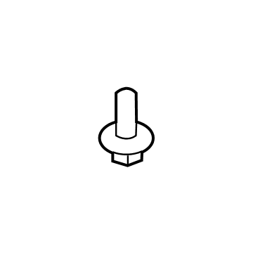 Running Board Rear Bolt