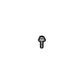 Base Screw