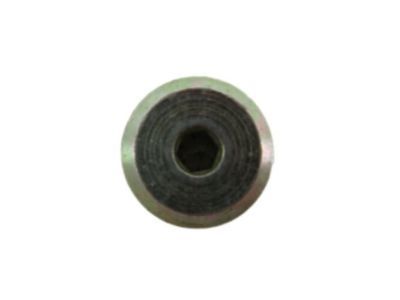Plug - Oil Drain