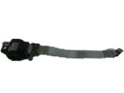 Belt Kit
