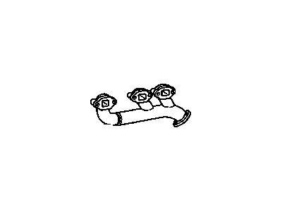 Manifold