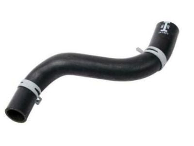 Hose