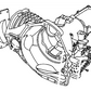 Case Transaxle