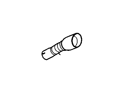 Extension