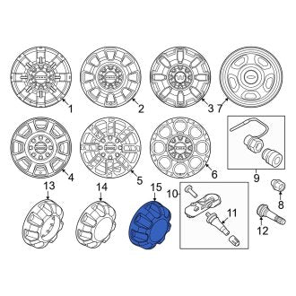 New OEM Wheel Cap Fits, 2023-2024 Ford F-250 - Part # HC3Z1130GBA