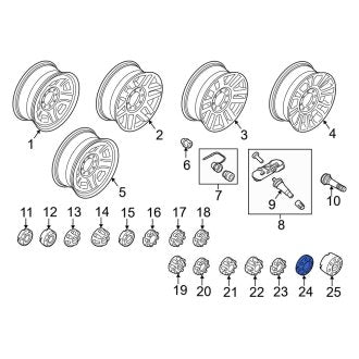 New OEM Wheel Cap Fits, 2017 Ford F-250 - Part # HC3Z1130Z