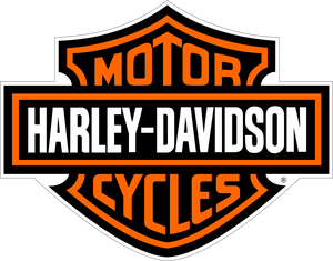 New OEM Genuine Harley-Davidson 4-Pack Nut Oval Top Lock 10, D1000.13CZ