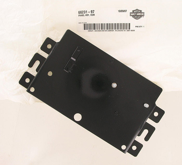 New OEM Genuine Harley-Davidson Panel Assembly Ecm, 66231-97